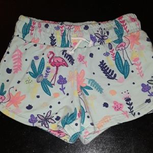 Flamingo Shorts Cat & Jack Blue green pink summer